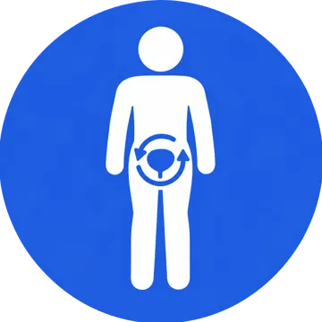 Icon Postprostate1 Clr