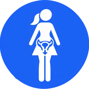 Femalepelvicorganprolapseicon